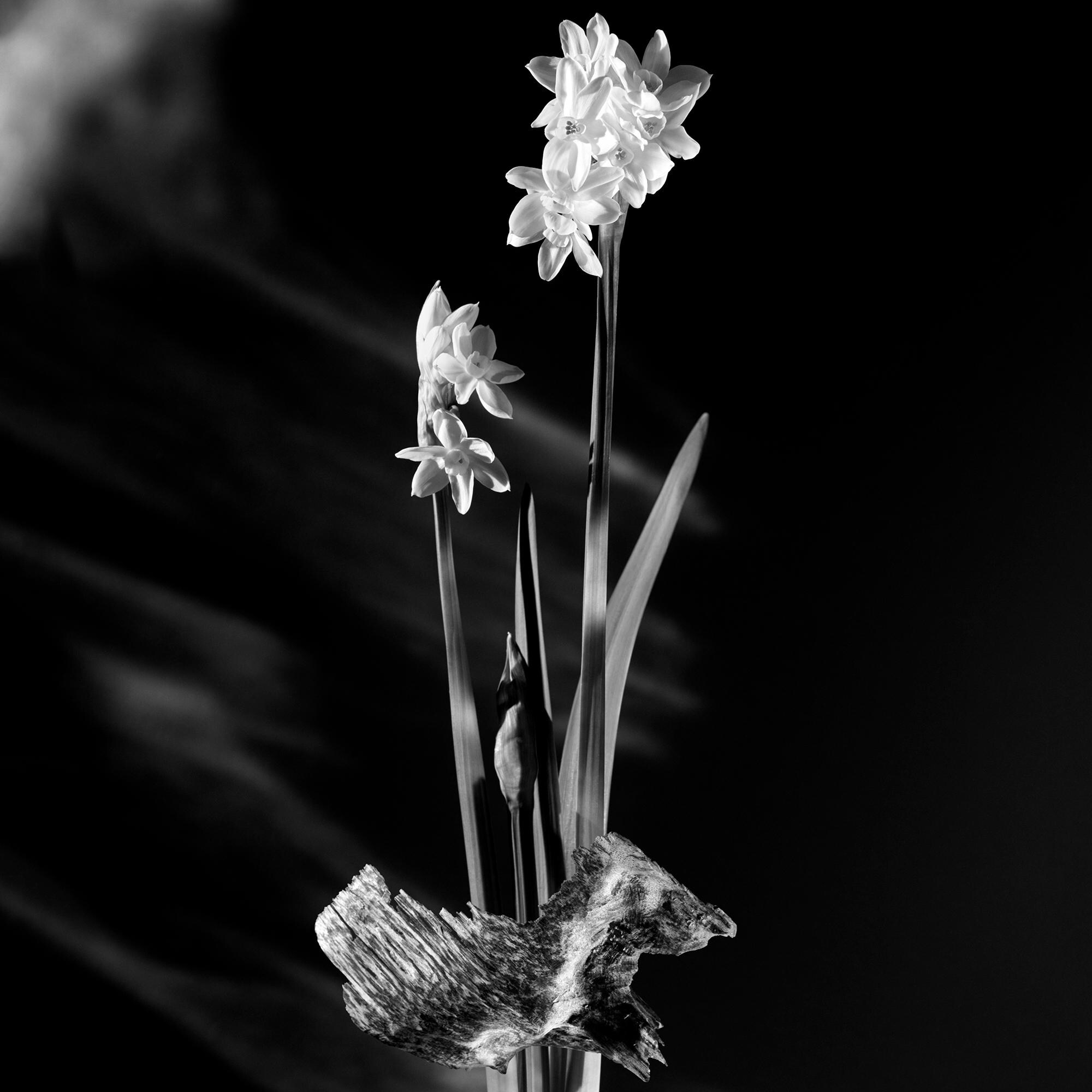 matiere noire louis vuitton